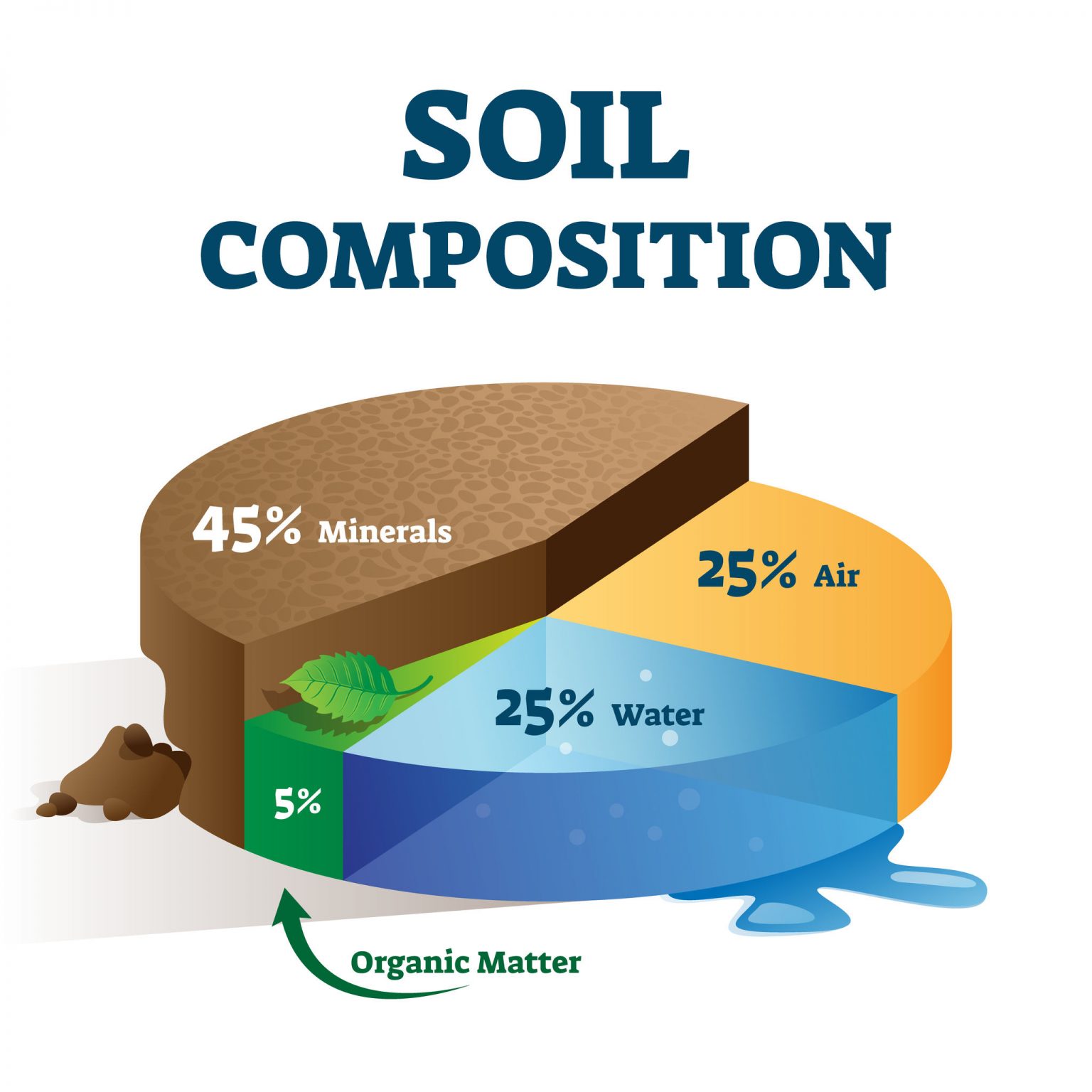 soil-is-the-thin-layer-of-material-covering-the-earth-s-surface