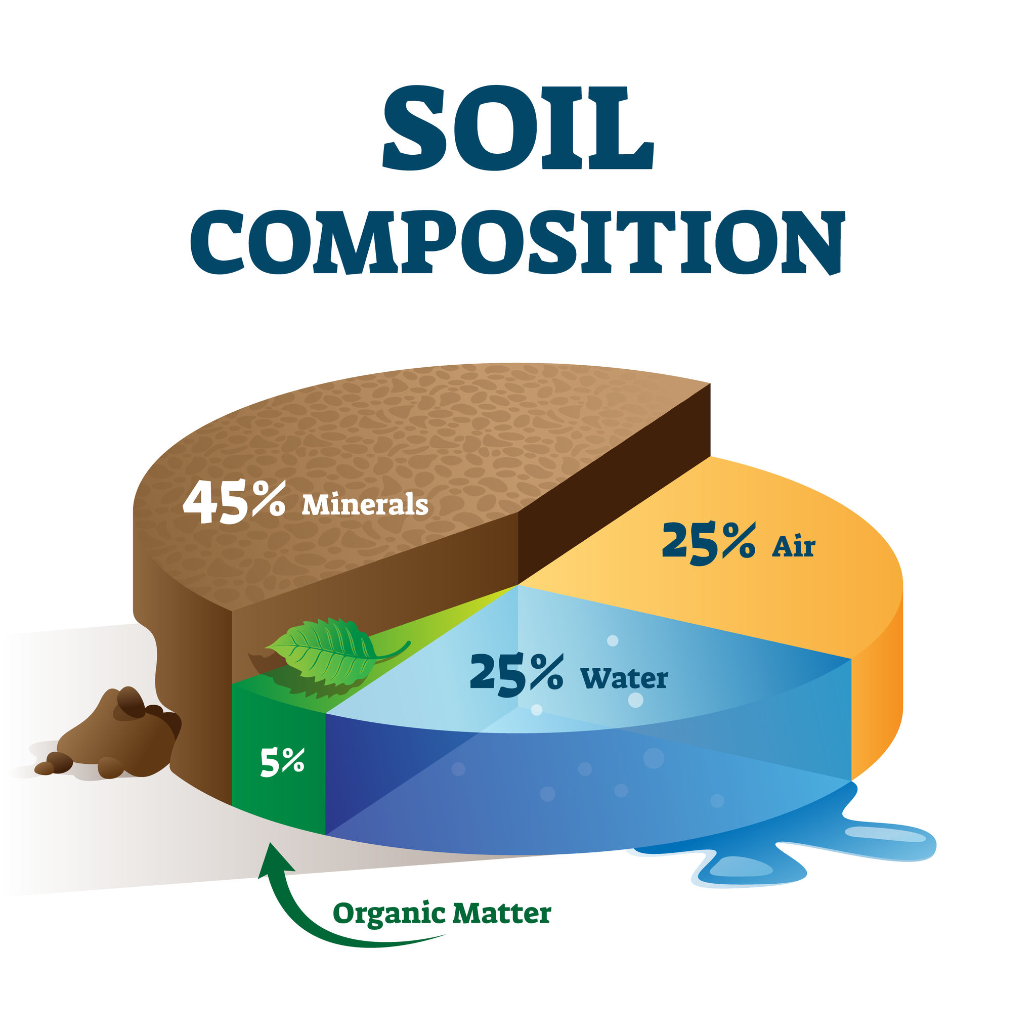 Soil Is The Thin Layer Of Material Covering The Earth s Surface