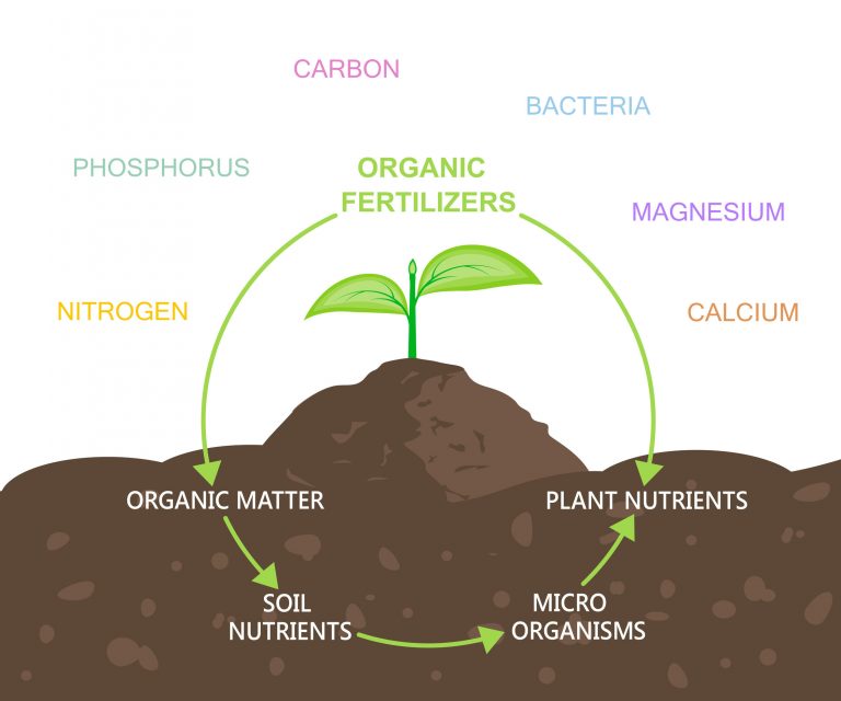 Soil is the thin layer of material covering the earth’s surface