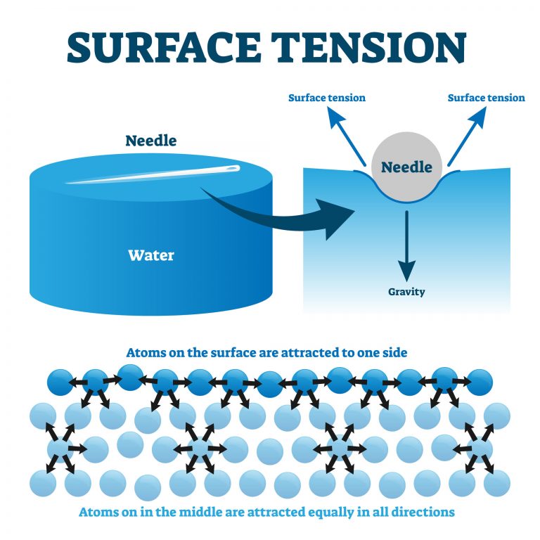 Water is found everywhere on earth, so why is it important?