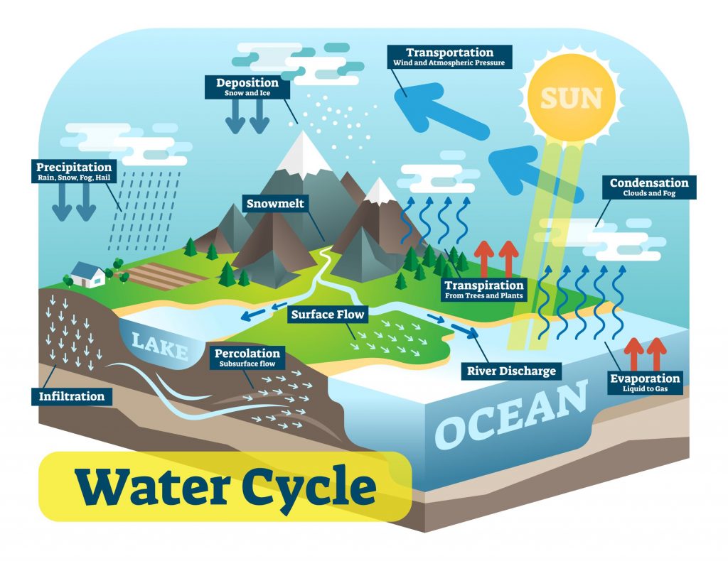 The natural water cycle is the movement of water around the world.