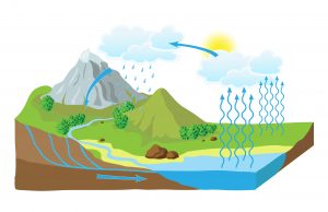 Water Cycle Experiments: why water is important