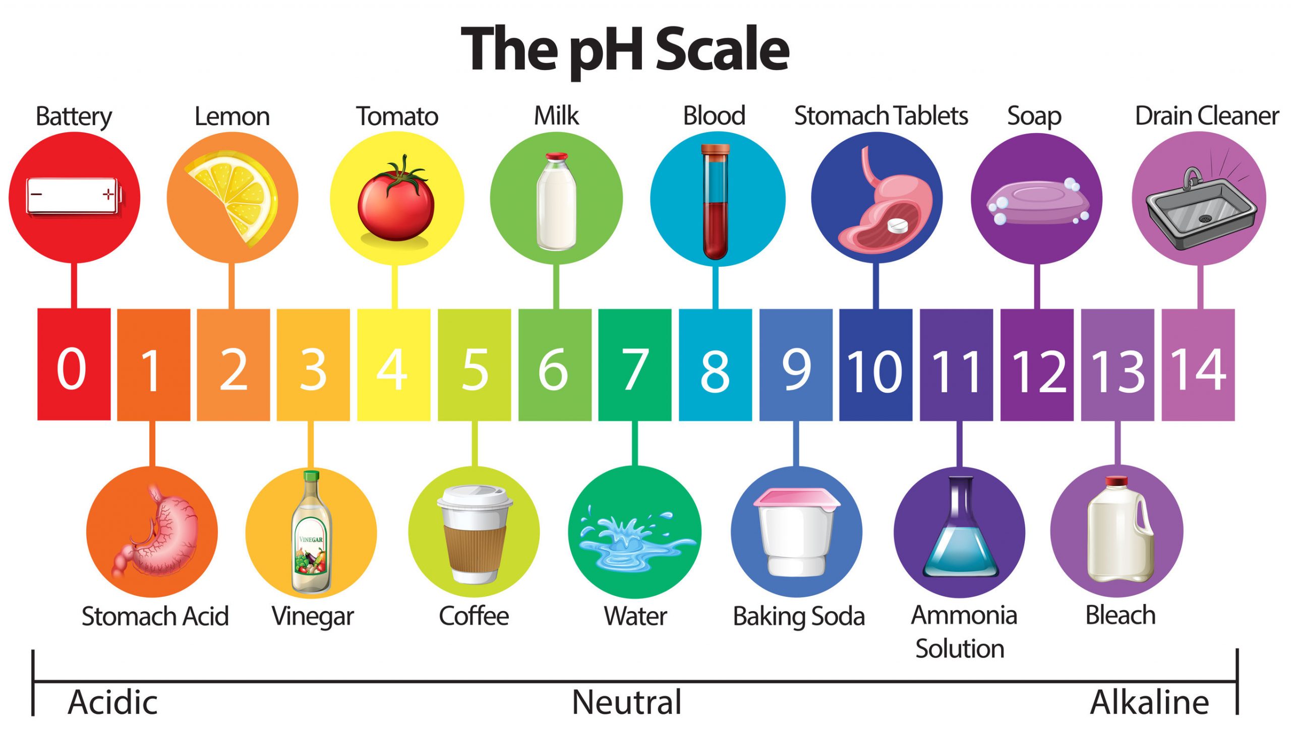 The pH Scale, History, Use & Purpose