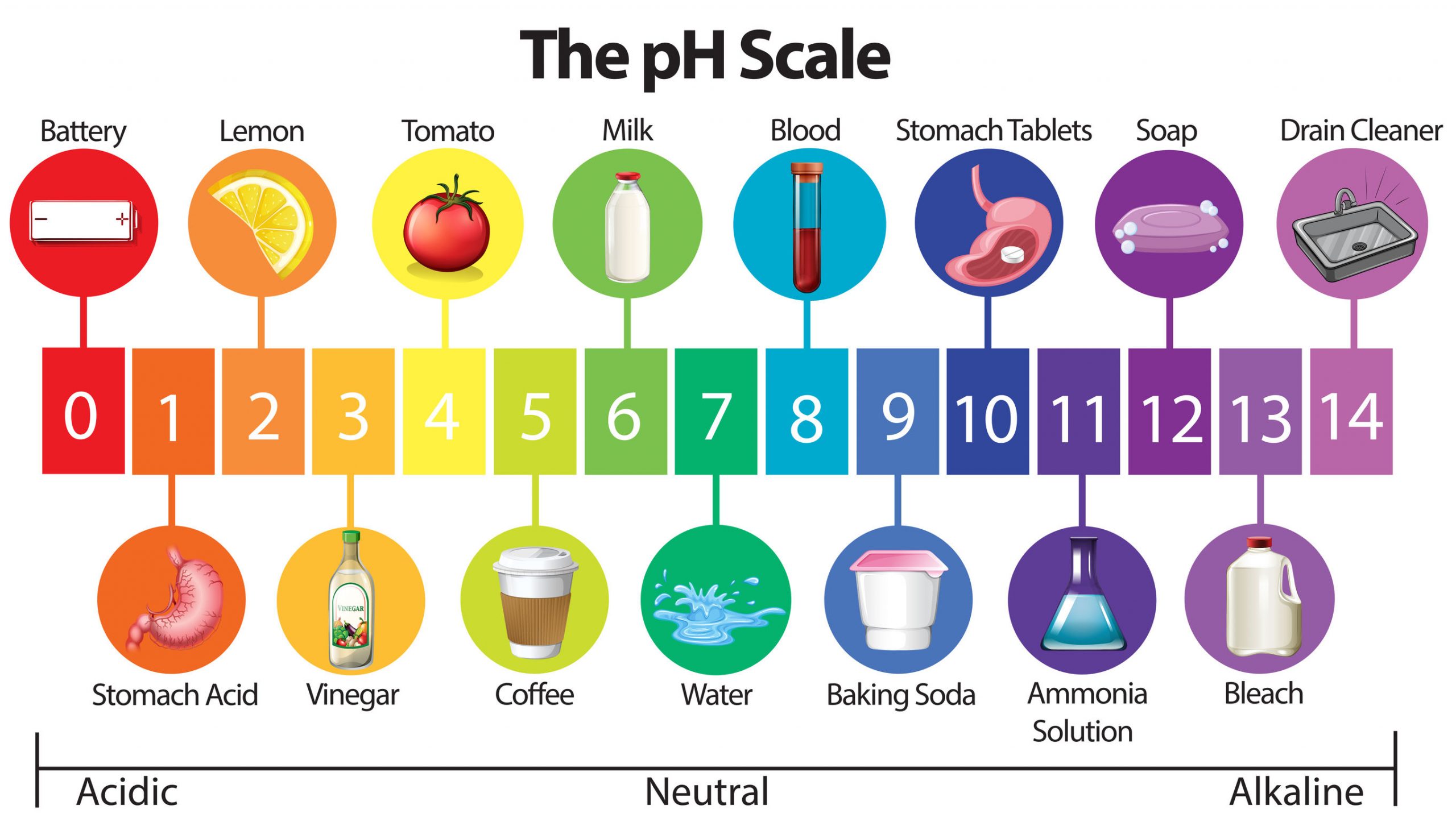 What Is PH PH Is The Abbreviation Of The Potential Of Hydrogen