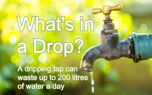 How to be Waterwise and save this precious resource.