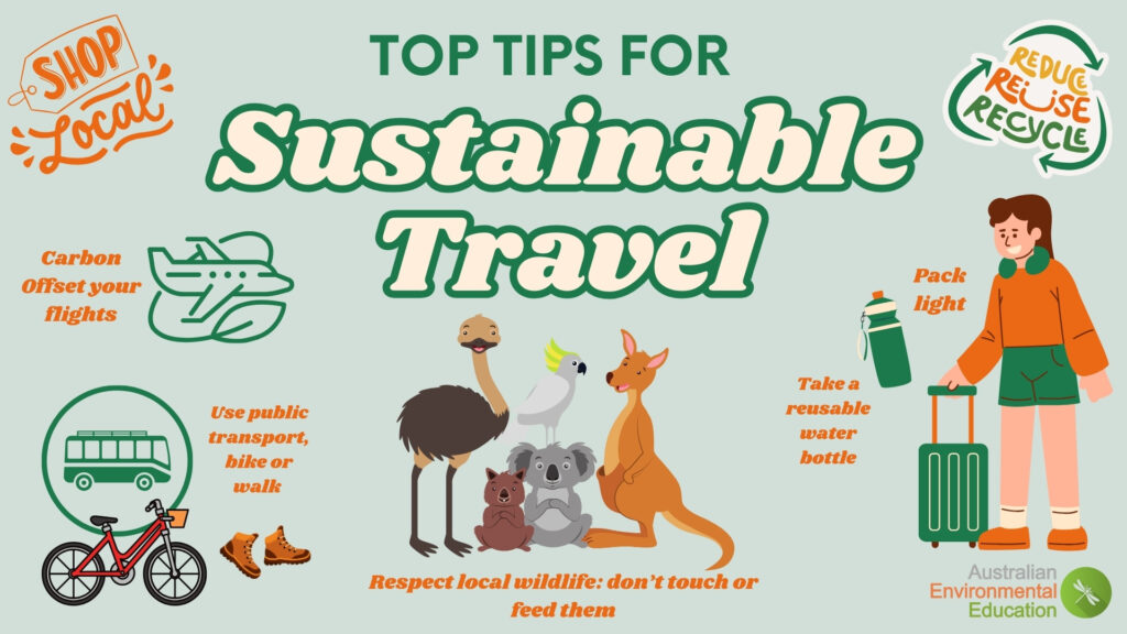 Sustainable Travel infographic